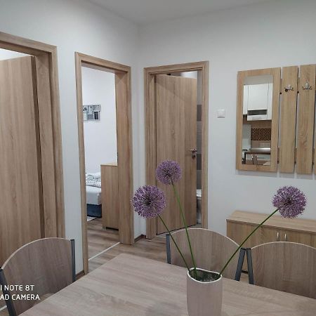 Evelyn Apartman Hajdúszoboszló المظهر الخارجي الصورة